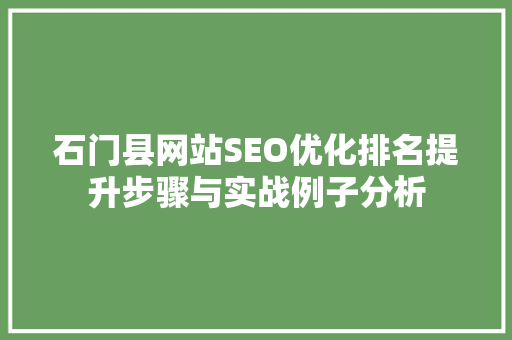 石门县网站SEO优化排名提升步骤与实战例子分析
