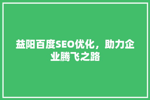 益阳百度SEO优化，助力企业腾飞之路