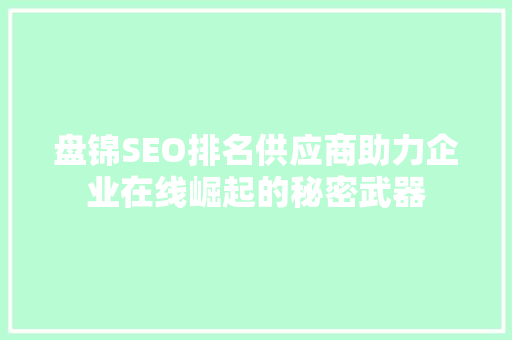 盘锦SEO排名供应商助力企业在线崛起的秘密武器  第1张