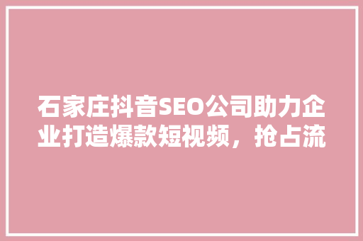 石家庄抖音SEO公司助力企业打造爆款短视频，抢占流量高地