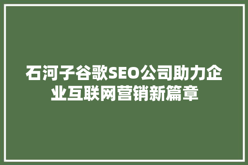 石河子谷歌SEO公司助力企业互联网营销新篇章