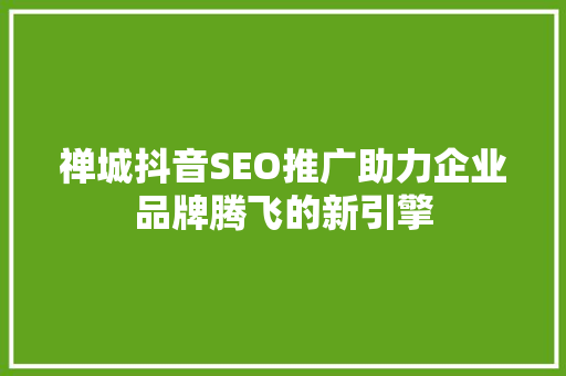 禅城抖音SEO推广助力企业品牌腾飞的新引擎