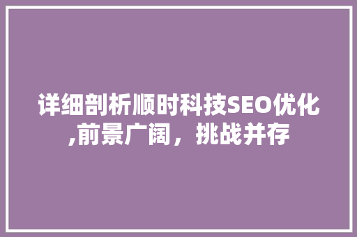 详细剖析顺时科技SEO优化,前景广阔，挑战并存