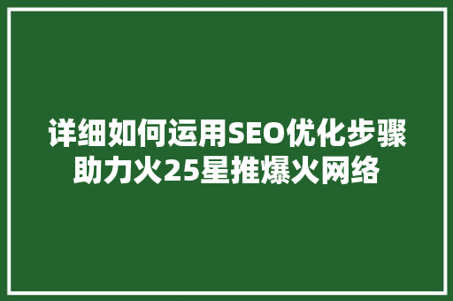 详细如何运用SEO优化步骤助力火25星推爆火网络