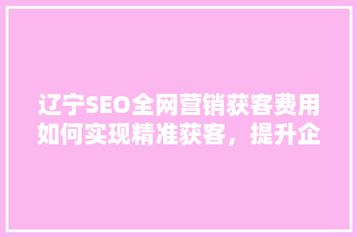 辽宁SEO全网营销获客费用如何实现精准获客，提升企业竞争力
