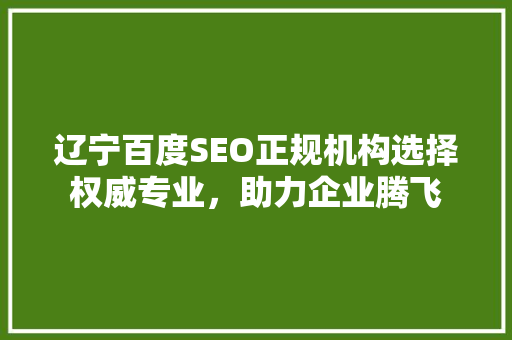 辽宁百度SEO正规机构选择权威专业，助力企业腾飞