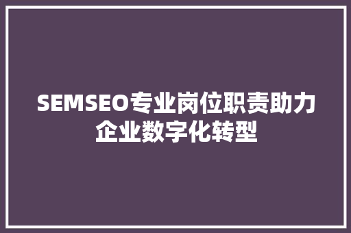 SEMSEO专业岗位职责助力企业数字化转型