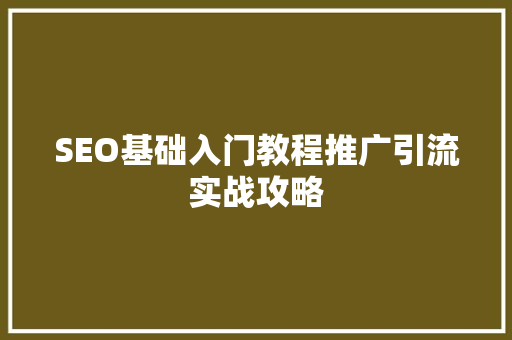 SEO基础入门教程推广引流实战攻略