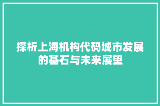 探析上海机构代码城市发展的基石与未来展望