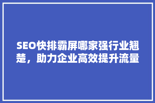 SEO快排霸屏哪家强行业翘楚，助力企业高效提升流量