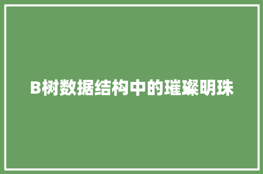 B树数据结构中的璀璨明珠
