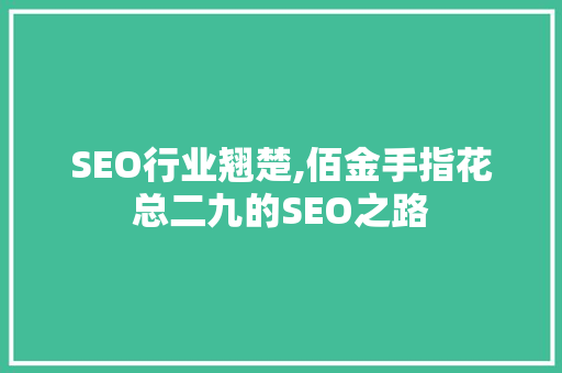 SEO行业翘楚,佰金手指花总二九的SEO之路
