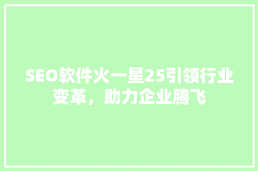 SEO软件火一星25引领行业变革，助力企业腾飞