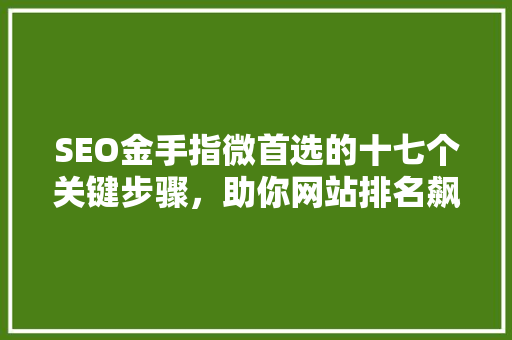 SEO金手指微首选的十七个关键步骤，助你网站排名飙升