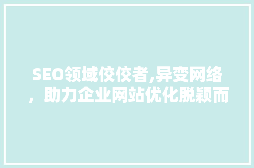 SEO领域佼佼者,异变网络，助力企业网站优化脱颖而出