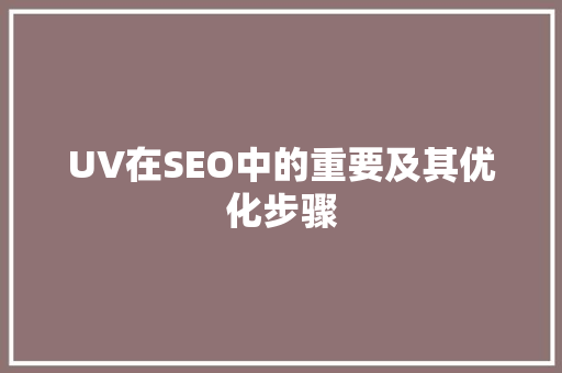 UV在SEO中的重要及其优化步骤