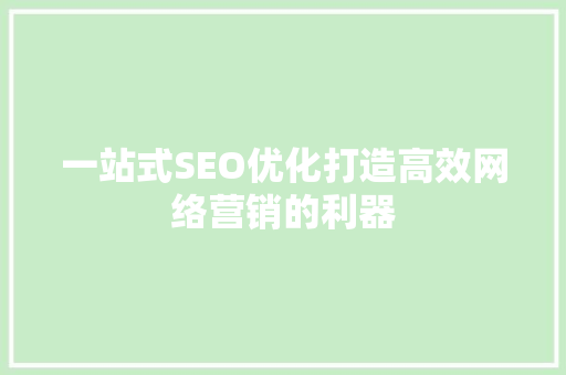 一站式SEO优化打造高效网络营销的利器