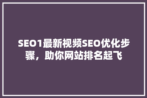 SEO1最新视频SEO优化步骤，助你网站排名起飞