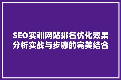 SEO实训网站排名优化效果分析实战与步骤的完美结合