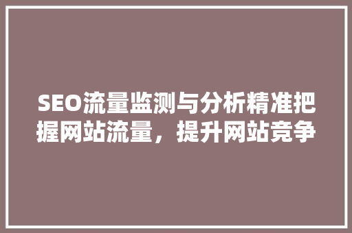 SEO流量监测与分析精准把握网站流量，提升网站竞争力