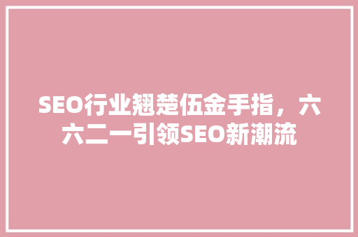 SEO行业翘楚伍金手指，六六二一引领SEO新潮流