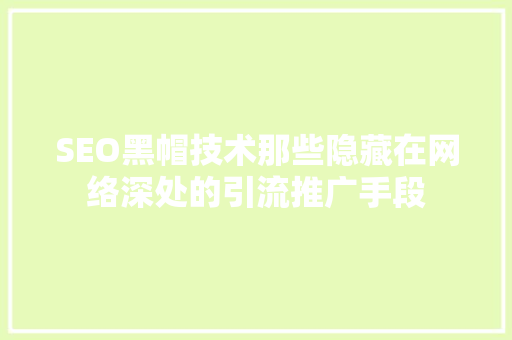 SEO黑帽技术那些隐藏在网络深处的引流推广手段  第1张