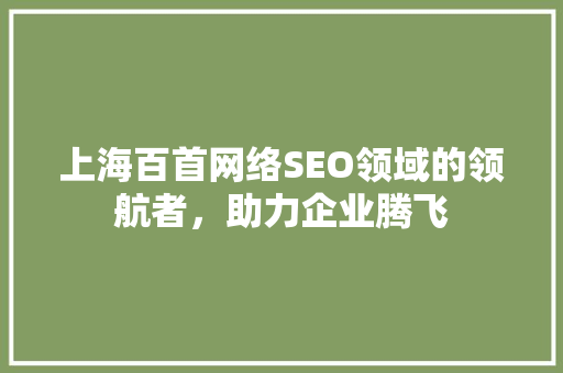 上海百首网络SEO领域的领航者，助力企业腾飞  第1张
