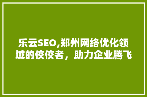 乐云SEO,郑州网络优化领域的佼佼者，助力企业腾飞