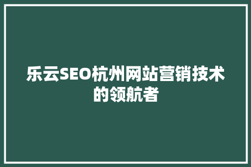 乐云SEO杭州网站营销技术的领航者