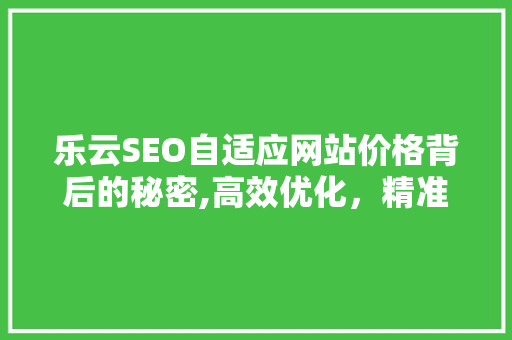 乐云SEO自适应网站价格背后的秘密,高效优化，精准营销