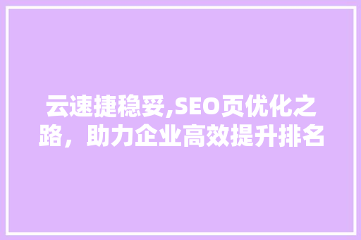 云速捷稳妥,SEO页优化之路，助力企业高效提升排名
