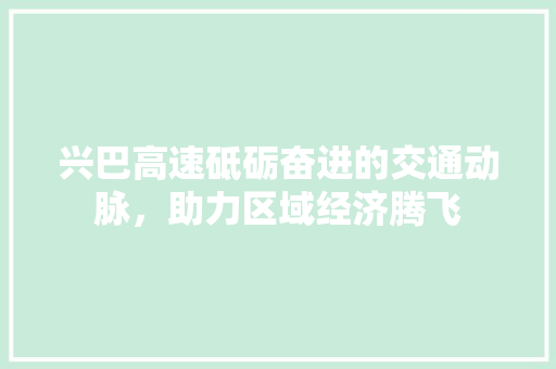 兴巴高速砥砺奋进的交通动脉，助力区域经济腾飞