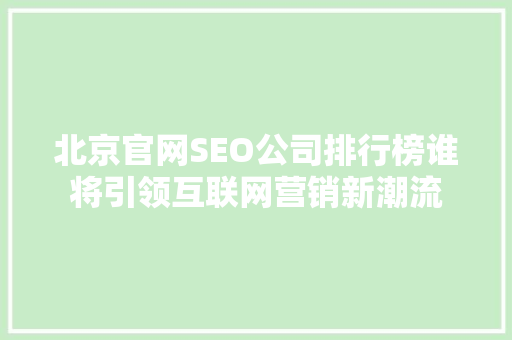 北京官网SEO公司排行榜谁将引领互联网营销新潮流