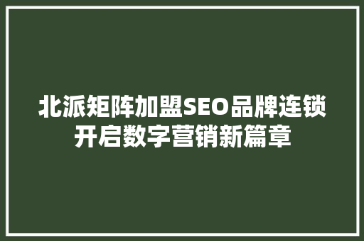 北派矩阵加盟SEO品牌连锁开启数字营销新篇章