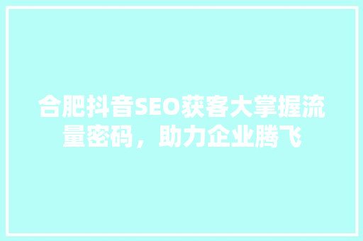 合肥抖音SEO获客大掌握流量密码，助力企业腾飞