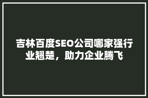 吉林百度SEO公司哪家强行业翘楚，助力企业腾飞