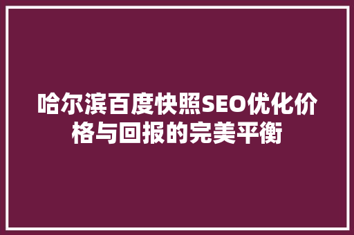 哈尔滨百度快照SEO优化价格与回报的完美平衡