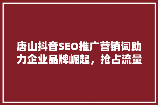唐山抖音SEO推广营销词助力企业品牌崛起，抢占流量高地