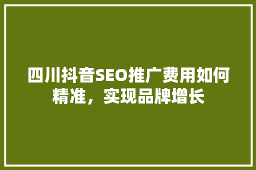 四川抖音SEO推广费用如何精准，实现品牌增长