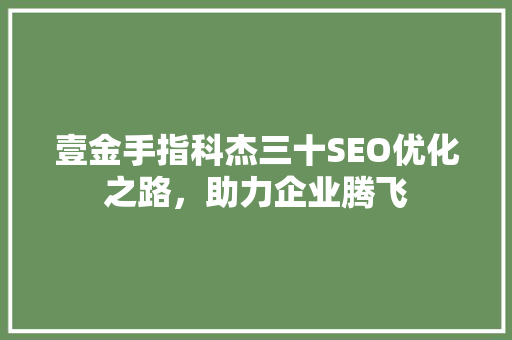 壹金手指科杰三十SEO优化之路，助力企业腾飞