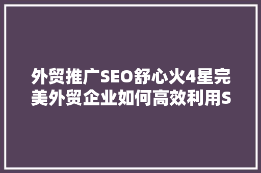 外贸推广SEO舒心火4星完美外贸企业如何高效利用SEO提升国际竞争力