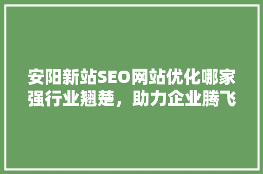 安阳新站SEO网站优化哪家强行业翘楚，助力企业腾飞