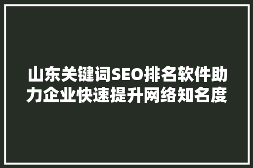 山东关键词SEO排名软件助力企业快速提升网络知名度