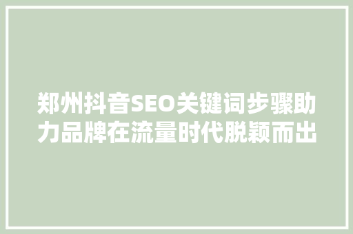郑州抖音SEO关键词步骤助力品牌在流量时代脱颖而出