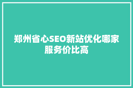郑州省心SEO新站优化哪家服务价比高
