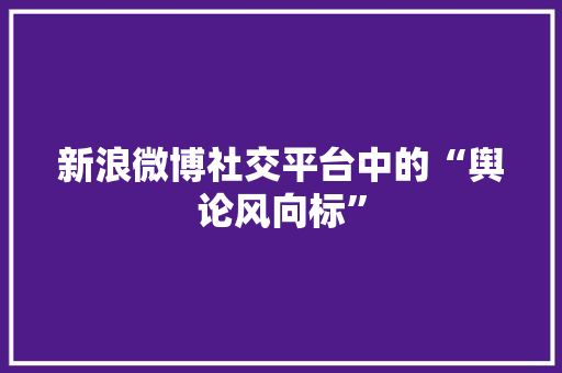 新浪微博社交平台中的“舆论风向标”
