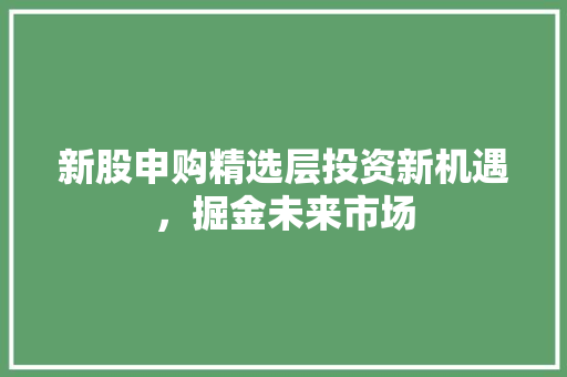 新股申购精选层投资新机遇，掘金未来市场