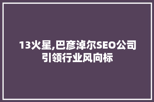 13火星,巴彦淖尔SEO公司引领行业风向标