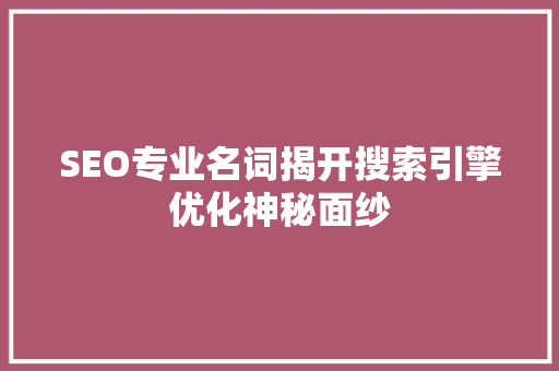 SEO专业名词揭开搜索引擎优化神秘面纱