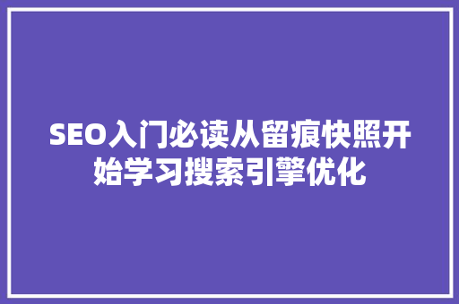 SEO入门必读从留痕快照开始学习搜索引擎优化